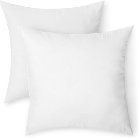 Square Hypoallergenic Down Alternative Pillow Insert, Machine Washable, Softness and Support, 20 inch, 2-Pack