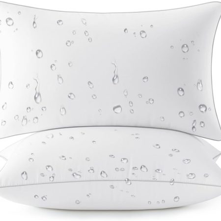 Pack of 2 12x20 Outdoor Pillow Inserts, Waterproof Decorative Rectangle Throw Pillow Inserts for Patio Sofa Garden Porch Couch