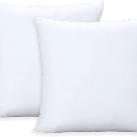 Throw Pillows Insert Set of 2, White 22x22 in Pillow Inserts with 100% Cotton Cover,Bed and Couch Decorative Stuffer Pillows,Indoor Pillows for Sofa