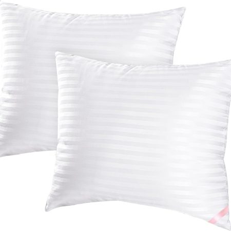 Throw Pillow Inserts, Machine Washable Pillows,Premium Polyester Fiber Fill for Sofa Bed & Decorative Cushions (White, 18x18inch)