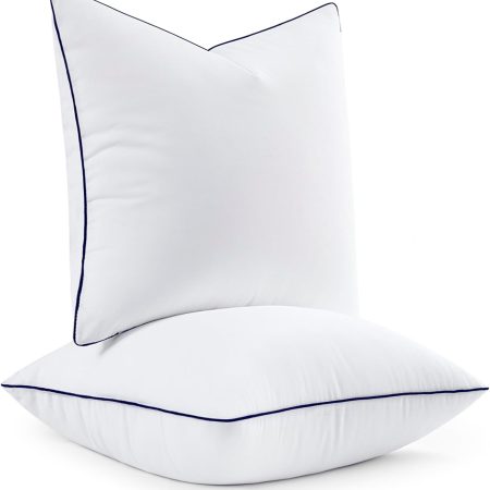 18x18 Pillow Inserts, Fluffy Down Alternative Filling Pack of 2 Ultra Soft Throw Pillows for Sofa Couch Bed