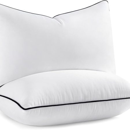 12x20 Pillow Inserts, Fluffy Down Alternative Filling Pack of 2 Ultra Soft Lumbar Throw Pillows for Sofa Couch Bed