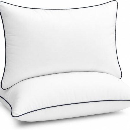 12x20 Pillow Inserts Set of 2, Fluffy Overfilled Down Alternative Lumbar Pillows, Soft Plush Decorative Throw Pillows for Couch, Sofa, Bed and Home Decor